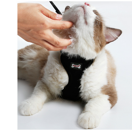 Anti-Skid Adjustable Cat Harness – Breathable Safety Vest for Cats