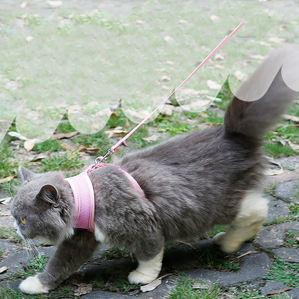 Anti-Skid Adjustable Cat Harness – Breathable Safety Vest for Cats