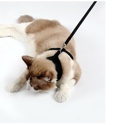 Anti-Skid Adjustable Cat Harness – Breathable Safety Vest for Cats